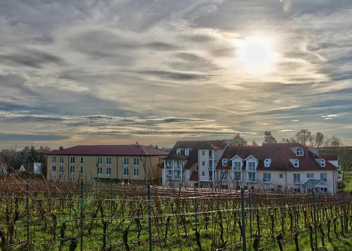 Hotel Pension Edenkoben